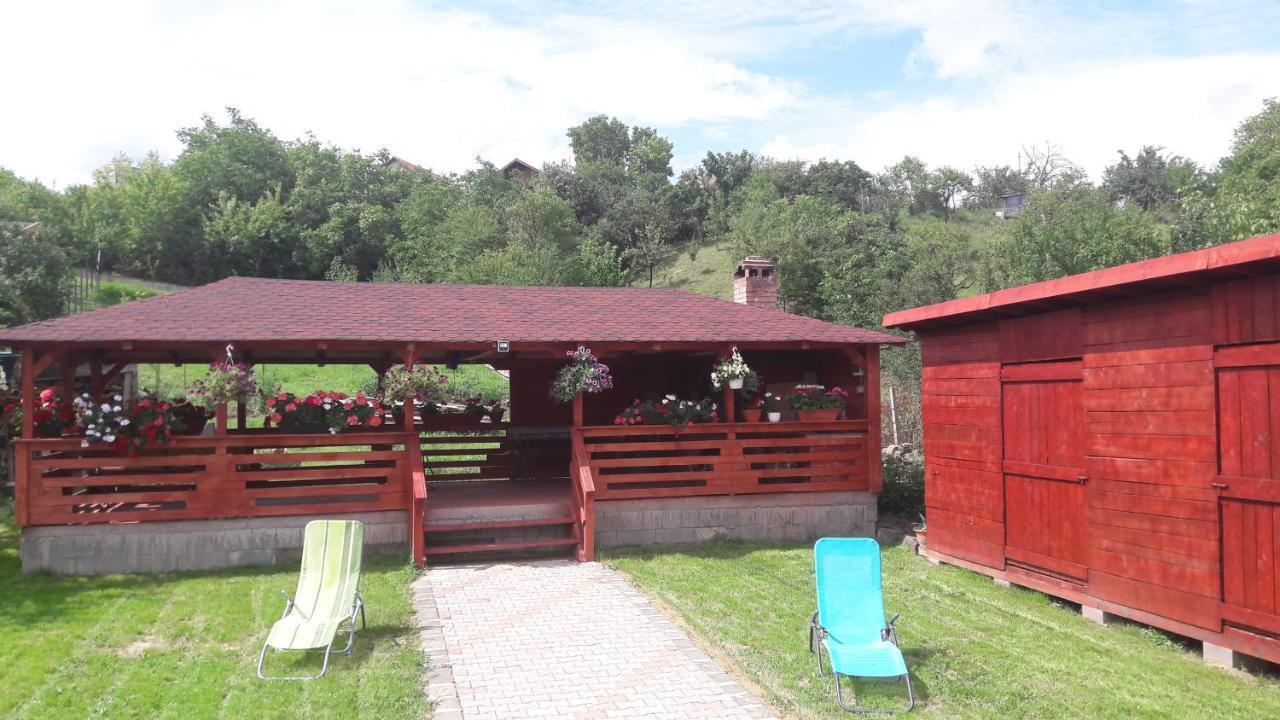 Casa Anamaria Villa Turda Exterior photo