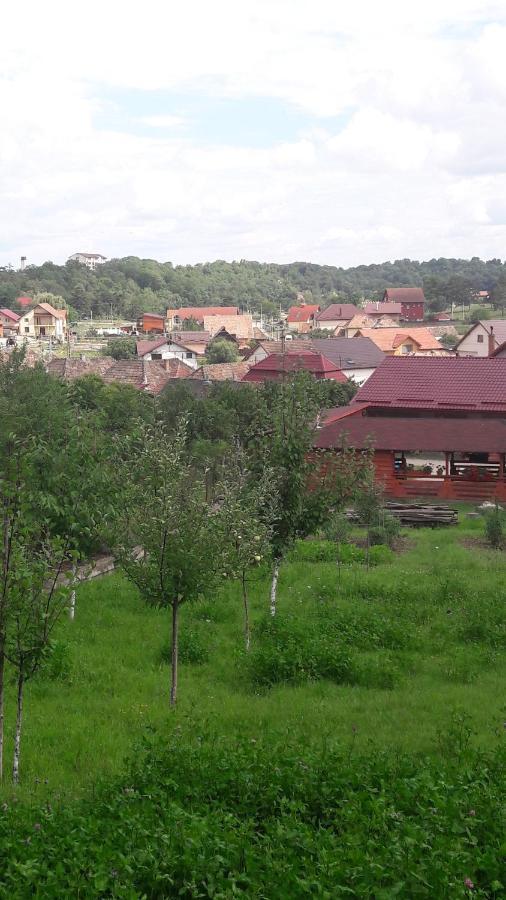 Casa Anamaria Villa Turda Exterior photo